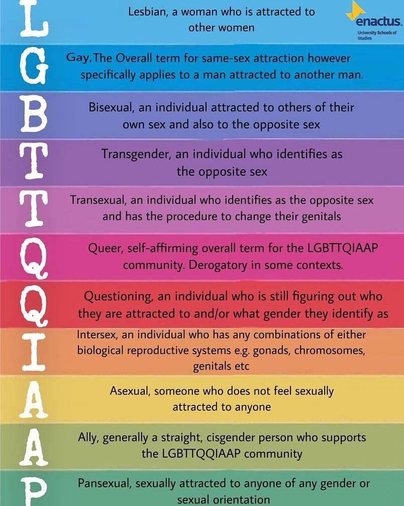 Was ist LGBTQ+ â€“ UbboGenius